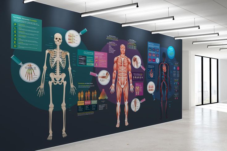 Mẫu vẽ tranh tường trường học | trường đại học - 1